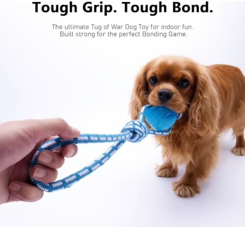MECOOL Dog Rope Ball Chew Toy - Durable Tug of War Fetch Toy for Aggressive Chewers, Natural Rubber Ball with Braided Rope, Interactive Teething Toy for Medium Large Dogs,Bacon Flavored