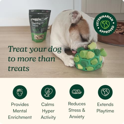 Reggie Dog Training Treats with Enrichment Toy | Turkey & Pumpkin Dog Treats + Forager Ball | Low-Calorie High-Protein Rewards | Mental Stimulation for Dogs | 340 Treats