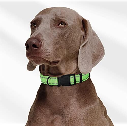Mile High Life Reflective Dog Collar, Adjustable Lightweight Quick Release