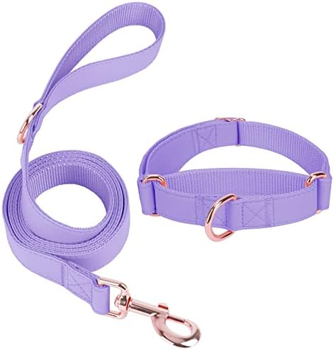 Martingale Dog Collar and Leash Set, Soft Leather Adjustable Rose Gold Slip Collars [Easy to Clean], Stylish Durable No Pull Collar for Small Medium Large Dogs (L, Set Purple)