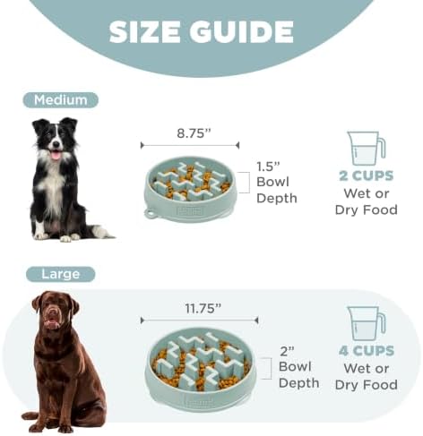 Outward Hound Fun Feeder Slo Bowl Dog Slow Feeder, Notch, Sage, 9.1", Medium (Pack of 12)