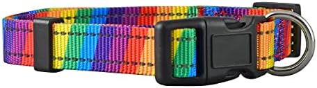 Native Pup Reflective Dog Collars (Medium, Rainbow)