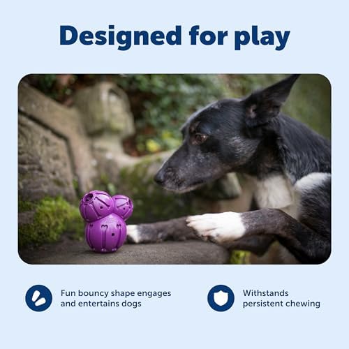 PetSafe Busy Buddy Barnacle Treat Dispensing Dog Toy, Large | 3 Treat Meter Prongs Randomly Dispense Kibble, Bone-Shaped Grooves Hold Spreadable Treats Like Peanut Butter