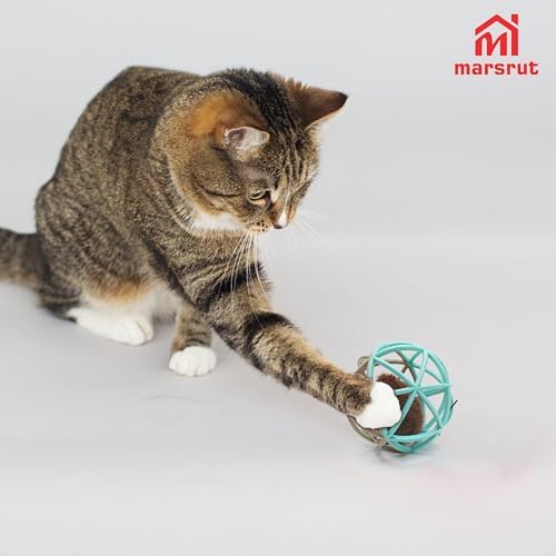 Squeaky Mouse Ball Cat Toy with Simulated Sound, 4.3in Mouse Ball Cage, Squeky Balls for Cats to Play With Indoor, Interactive Plastic Squeak Funny Toys Best for Playing Chasing Chewing Training