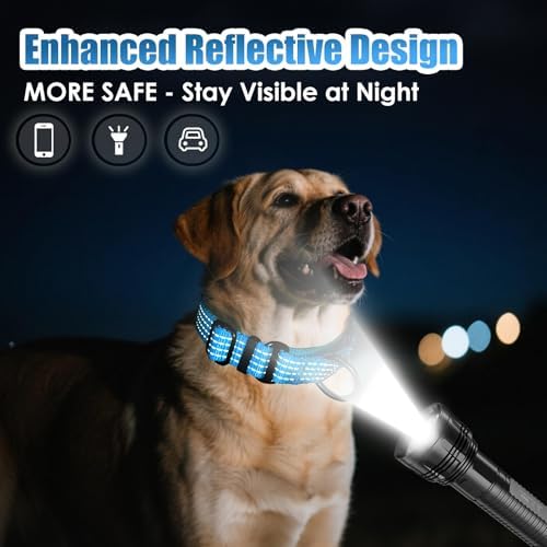 Martingale Dog Collar, Reflective No Pull with Buckle, Sky Blue, M
