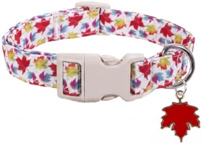 Fall Dog Collar, Puppy Collar for Extra Small Breeds, XS