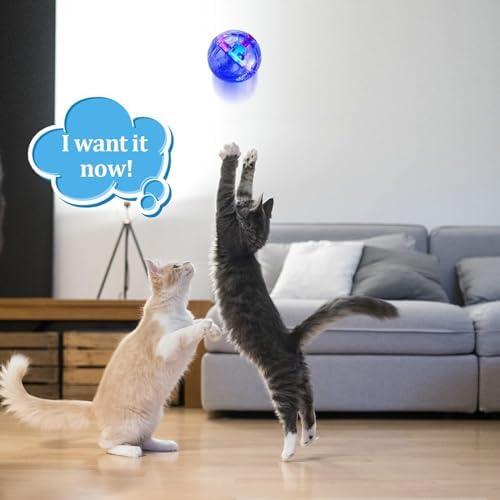 Sratte 6 Pcs Cat Ball Ghost Hunting Light up Toy, Clear