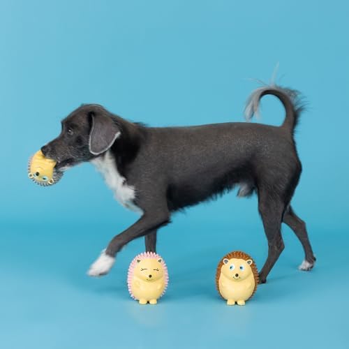 Fringe Studio Dog Toy Set, On A Roll, 3Pc Mini, Latex, Pet Shop Collection (367041)