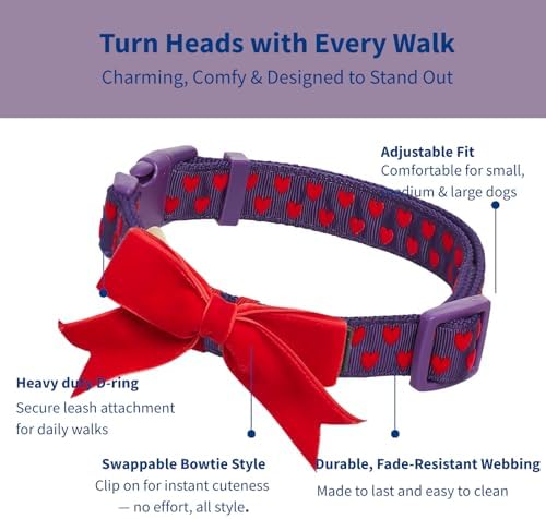 Blueberry Pet Adjustable Flocking Dog Collar with Detachable Velvety Bowtie - Heart in Gothic Grape, Small, Neck 12"-16"