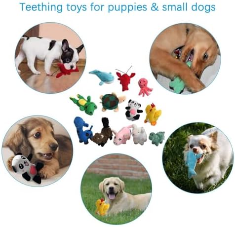 LEGEND SANDY Squeaky Plush Dog Toy Pack for Puppy, Small Puppy Chew Toys