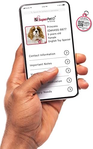 Dynotag® Web Enabled Super Pet ID Smart Tag with DynoIQ™ & Lifetime Recovery Service. Play Series: Round (Pink Heart)