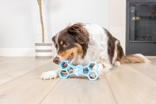 Chuckit! Holee Roller Dog Treat Puzzle Bone, Large, Blue – Interactive Treat & Chew Puzzle Toy for Dogs 60–100 lb – Durable Rubber Bone‑Shaped Fetch Toy for Mental Stimulation – Pack of 1
