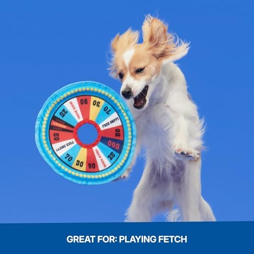 BarkBox Fetch N' Win Wheel Dog Toy - for Dogs