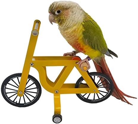 QBLEEV Bird Intelligence Training Toy - Parrot Puzzle Bicycle for Birds