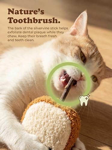 Cat Plush Toy [6000mg A+ Natural Catnip & Silvervine] with Teething Stick
