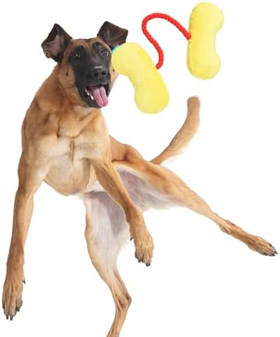 BarkBox Ate-Bit Tug Dog Toy - for Dogs