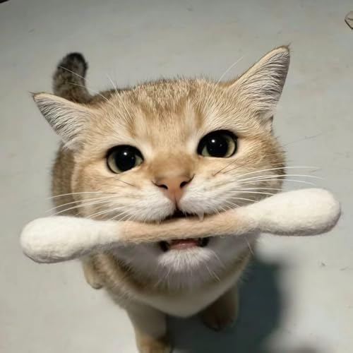 5Pack Wool Swabs Cat Toys with Catnip - Soft Plush Kicker Toys - Interactive Kitty Kick Sticks for Cat - Sturdy Teething Chew Toy (White)