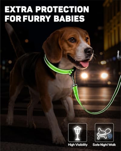 Padded Dog Collar with Waterproof Holder Compatible with Airtag