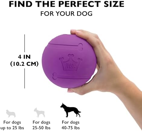 Chew King Fetch Balls Extremely Durable Natural Rubber Toy 4 inch, 2 Pack (CM-10031-CS01)