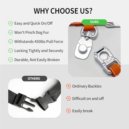 Magnetic Dog Collar and Leash Set with Quick Release Buckle, Easy On & Off Faux Leather Puppy Collar with 4FT Leash for Small, Medium Dog