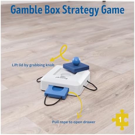 TRIXIE Gamble Box Dog Enrichment Toy, Level 1 Food Puzzle & Treat Game