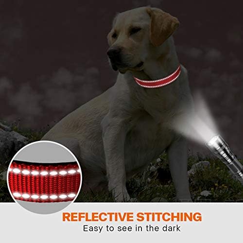 Taglory 14"-20" Dog Collar and 6 FT Dog Leash Set, Highly Reflective Threads Dog Leash, Adjustable Reflective Dog Collar with Safety Locking Buckle for Medium Dogs