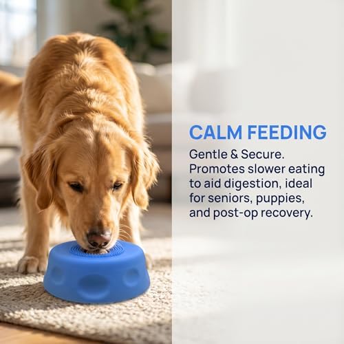 Interactive Dog Licking Toy Ball Slow Feeder Bowl, Food Safe Silicone Bowl for Bone Broth Yogurt Juice, Slow Feeding Protect Dog Stomach & Gut (Black)