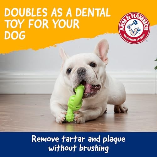 Arm & Hammer Nubbies Wave Dog Dental Chew Toy, Mint Flavor