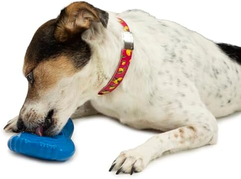 PetSafe Chilly Penguin Freezable Treat Holding Dog Toy, Small