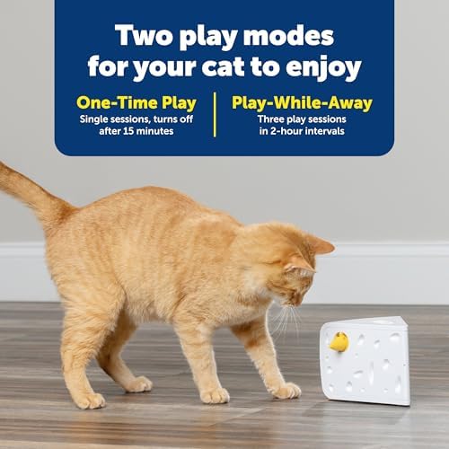 PetSafe Cheese - Interactive, Electronic Cat Toy - Peek-A-Boo Mouse Hunt Game - Hide and Seek for Bored and Anxious Cats - Kitten Teaser Toy - Automated Cat Toy for Cat Enrichment and Exercise