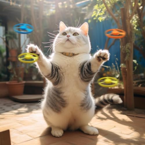 Cat Fetch Toys, Interactive Flying Cat Toys with 20 Colored Flying Propellers, Pet Tracks Chasing Toy for for Kitten Training Hunting(only 20 Propellers)