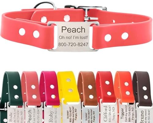 dogIDs Personalized Dog Collar – ScruffTag Custom Waterproof Biothane Dog Collar with Laser-Engraved Name, Durable & Odor-Resistant – USA Made | Coral, 1 in x 20 in (Fits Neck Sizes 18-22 in)