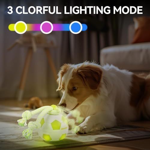 ALL FOR PAWS Interactive Dog Toys, Smart Dog Ball with Durable Rope, Automatic Moving and Rolling Ball Toys for Small Medium Large Dogs, Motion-Activated and USB Rechargeable