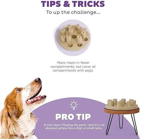 Outward Hound by Nina Ottosson Dog Smart Treat Puzzle Enrichment Toy, Level 1 Beginner, Tan, Composite