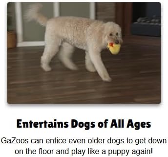 Interactive Dog Toy (Beau Bunny), Motion Activated Bouncing Talking Pet Toy, Exercise and Entertainment for Dogs and Puppies
