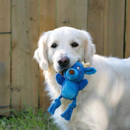 Plush Squeaky Knot Dog Toys, Interactive Chew Toys (Blue Deer)