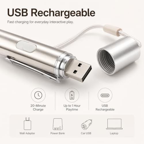USB Rechargeable Cat Toy Pen, 2-Pack Interactive Toy for Indoor Cats