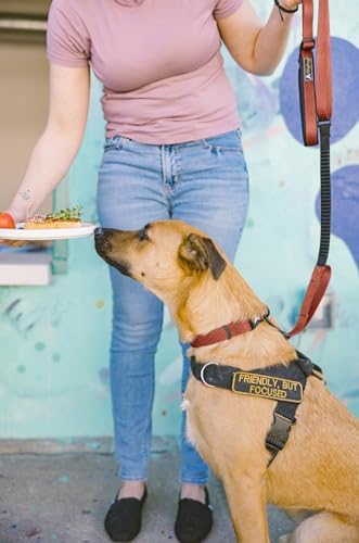 OllyDog Flagstaff Collar, Adjustable Soft Puppy Collars with Quick Release Buckle, Ideal Dog Collar for Everyday Use and Adventures (Small, Clay Woodgrain)