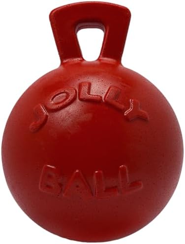 Jolly Pets Tug-n-Toss Heavy Duty Dog Toy Ball with Handle, 8 Inches/Large, Red (408 RD)