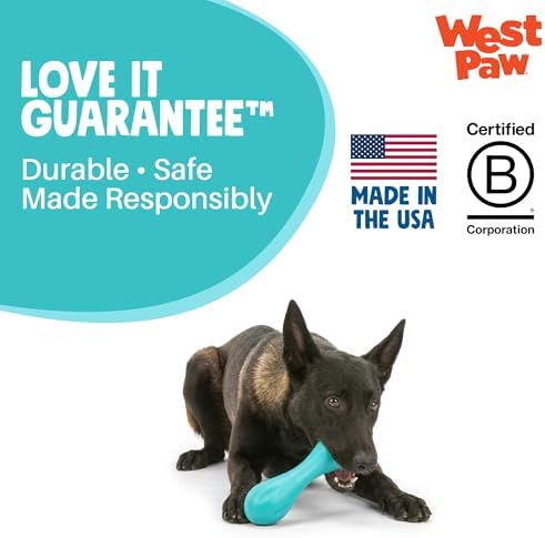 WEST PAW Zogoflex Hurley Dog Bone Chew Toy – Floatable Pet Toys for Aggressive Chewers, Catch, Fetch – Bright-Colored Bones for Dogs – Recyclable, Dishwasher-Safe, Non-Toxic, Large, Geranium