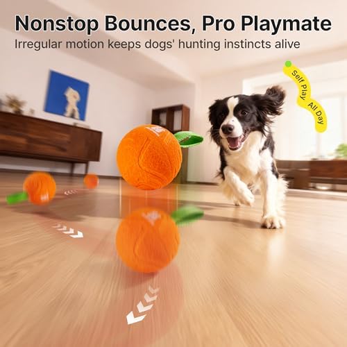 Potaroma Dog Ball with Rope Handle, Motion Activated Bouncing E-TPU Toy