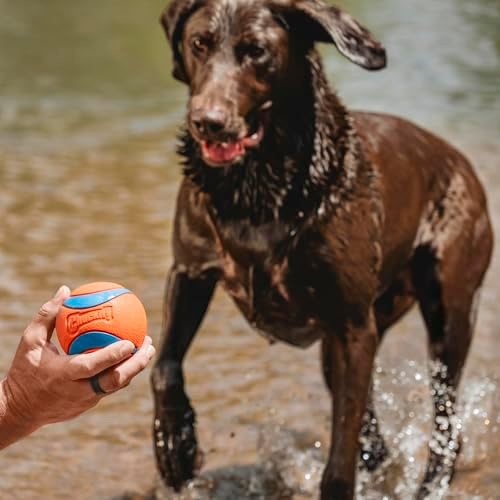 Chuckit! Ultra Ball Dog Toy, Size XXL, 4-in Diameter, for Dogs 100+lbs
