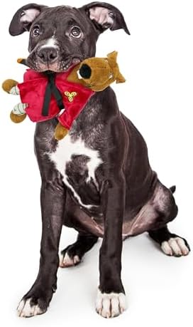 Teenage Mutant Ninja Turtles, Stuffed Animal for Dogs, Splinter