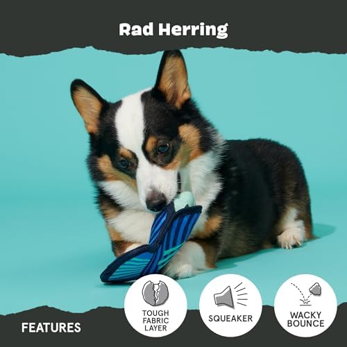 BarkBox Super Chewer Rad Herring Hard Core Toy