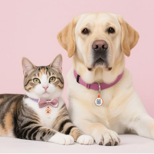 QR Code Cat Tag, Modifiable Pet Online Profile Display Page, Multiple Emergency Contact, Silicone Cat Tag, Lightweight, No Jinging, Collar Accessories (Medium to Large Breeds - 1.25", Orange)