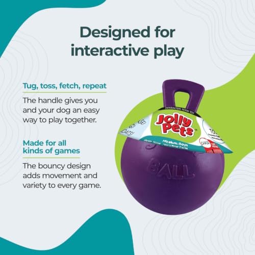 Jolly Pets Tug-n-Toss Heavy Duty Dog Toy Ball with Handle, 6 Inches/Medium, Purple