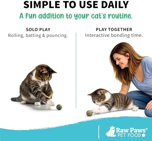 Raw Paws Catnip Balls for Cats (6-Count) - Interactive Indoor Cat Toy