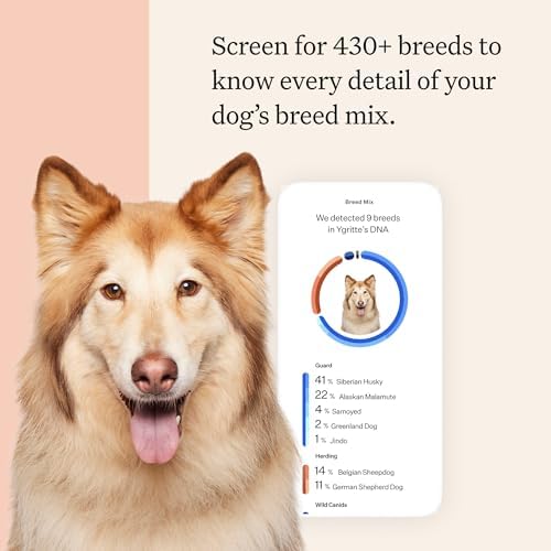Wisdom Panel Premium Dog DNA Testing Kit - Most Comprehensive Test - 265+ Health Tests, 430+ Dog Breeds, 50+ Traits, Relatives, Ancestry, 1 Pack