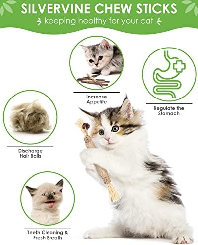 TINDTOP Silvervine Chew Sticks for Cats, 12 Pack Natural Catnip Toys