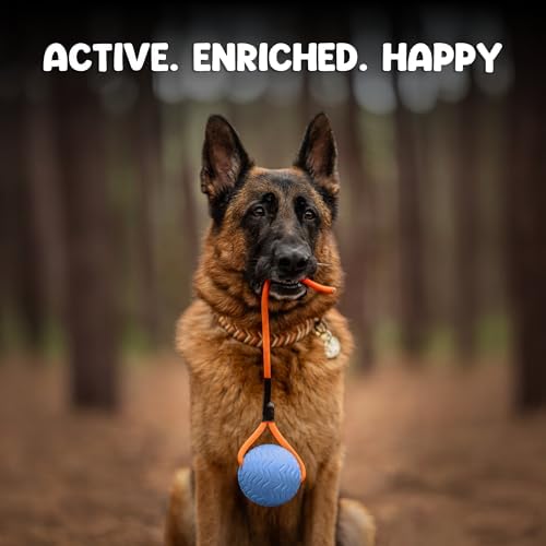 Dog Ball Toy with Rope, Durable EVA Foam Floating Dog Toy, Interactive Fetch & Toss n’ Train Tug Ball for Dogs, Bouncy Pet Ball for Outdoor Indoor Play - Blue, Large